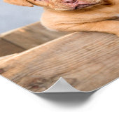 Impression personnalisée d'une photo (Coin)