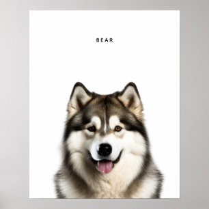 Impression personnalisée Husky