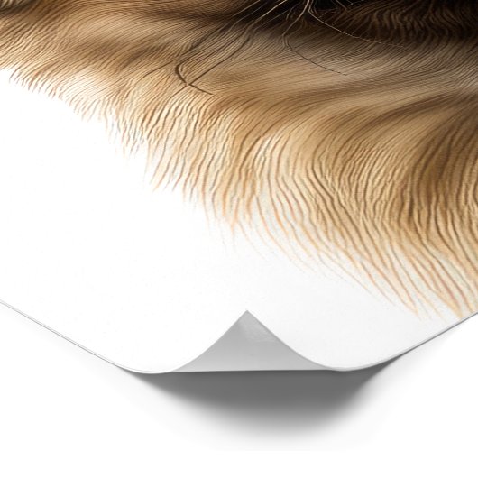 Impression personnalisée Pekingese (Coin)