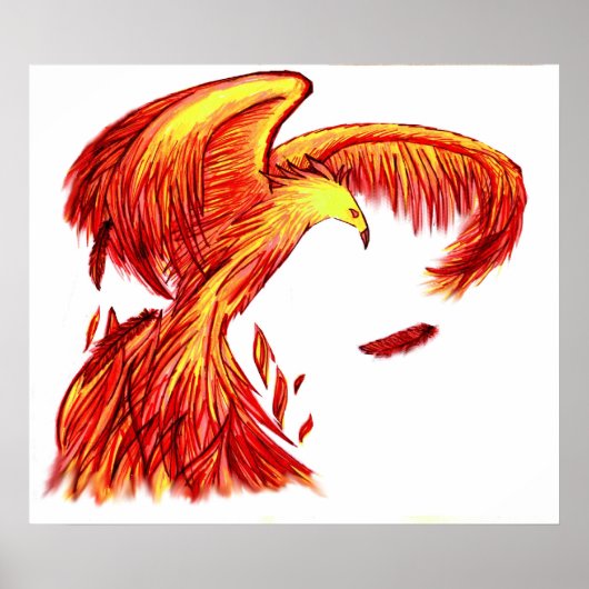 Impression Phoenix (Devant)