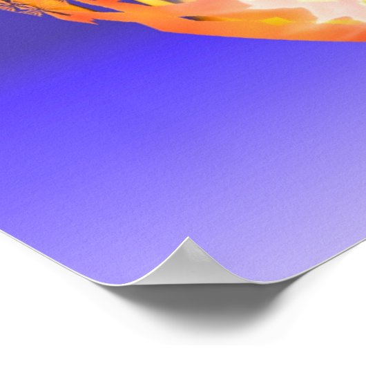 Impression Phoenix Arisen (Coin)