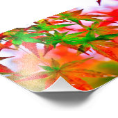 IMPRESSION PHOTO 紅葉 (Coin)