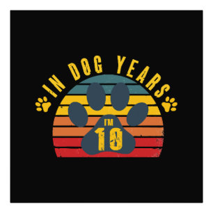 Impression Photo 10 Ans De Chien