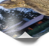 Impression photo 10 po x 8 po || Chat athlétique (Coin)