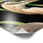 Impression Photo 10x8 Grand héron bleu (Coin)