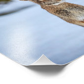 Impression Photo 10x8 Lapin dans la neige (Coin)