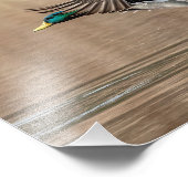 Impression Photo 10x8 Mallard Canard en vol (Coin)