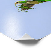 Impression Photo 10x8 Perruche de moine dans la vallée du Rio Grand (Coin)