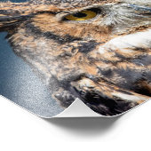 Impression Photo 10x8 Portrait de la chouette à grande corne (Coin)