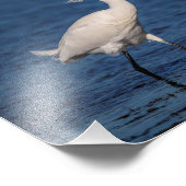 Impression Photo 10x8 Snowy Egret sur North Beach (Coin)