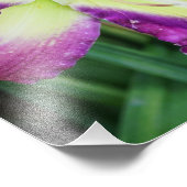 Impression Photo 11 po x 14 po (Coin)