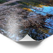 Impression photo 12 po x 12 po || Perfect Pond (Coin)