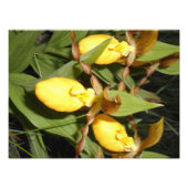 Impression photo 12 x 16 (Devant)