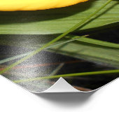 Impression photo 12 x 16 (Coin)