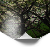 Impression Photo "130 ans de secrets" (Coin)