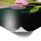 Impression Photo 14 pouces x 11 pouces (Coin)