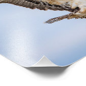 Impression Photo 14x11 Atterrissage du balbuzard pêcheur dans le ni (Coin)