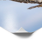 Impression Photo 14x11 Atterrissage du balbuzard pêcheur dans le ni (Coin)