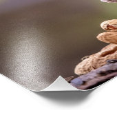 Impression Photo 14x11 Chipmunk avec cacahuètes (Coin)