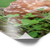 Impression Photo 14x11 Fête adorable ponte sous un arbre (Coin)