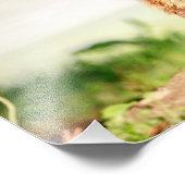 Impression Photo 14x11 Jeune marmotte (Coin)