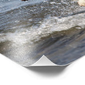 Impression Photo 14x11 Shepard allemand blanc sur le lac George (Coin)