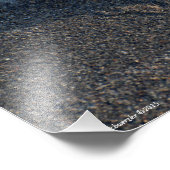 Impression Photo 16X20 Un trio de dollars de sable (Coin)