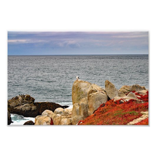 Impression Photo 17 Mile Drive (Devant)