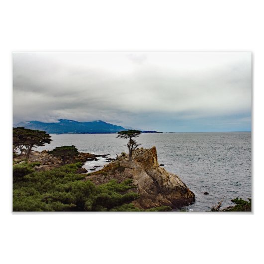 Impression Photo 17 Mile Drive (Devant)