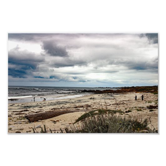 Impression Photo 17 Mile Drive (Devant)