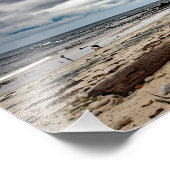 Impression Photo 17 Mile Drive (Coin)