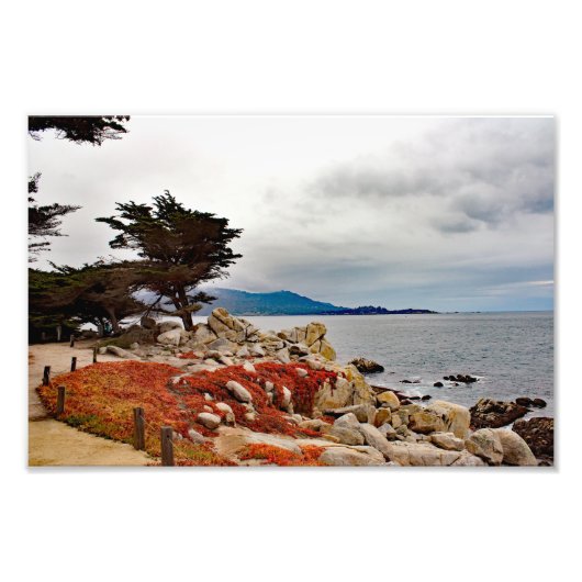 Impression Photo 17 Mile Drive (Devant)