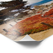 Impression Photo 17 Mile Drive (Coin)