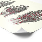 Impression Photo 1895 Anatomie humaine (Coin)