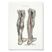 1895 Poignée d'impression de l'anatomie humaine