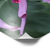 Impression Photo 24"x24" Chrysanthemum (Coin)