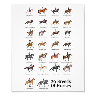 Impression Photo 26 races de chevaux