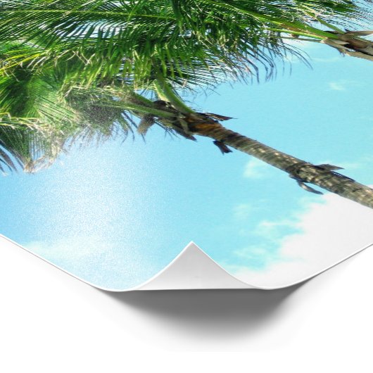 Impression Photo 3 palmiers (Coin)