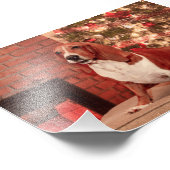 Impression Photo 4x6 Hound à Noël (Coin)