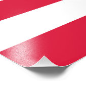 Impression Photo 50 Star Flag United States of America (Coin)