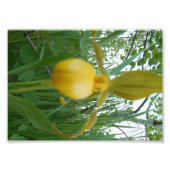 Impression photo 5x7 (Devant)