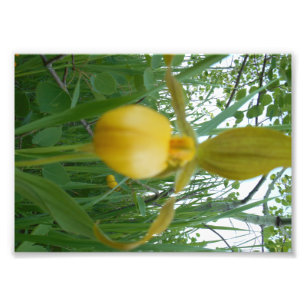 Impression photo 5x7