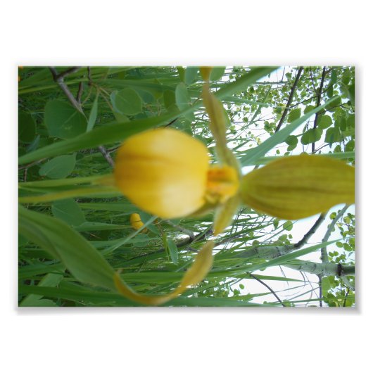 Impression photo 5x7 (Devant)