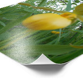 Impression photo 5x7 (Coin)