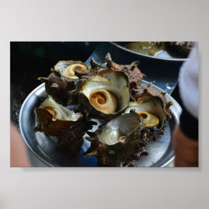 Impression photo 6×4 Haenyeo Sora Conch Harvest