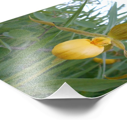 Impression photo 6x4 (Coin)