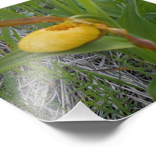 Impression photo 6x6 (Coin)