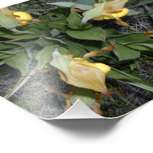 Impression photo 6x6 (Coin)