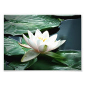 impression photo 7x5 (Devant)