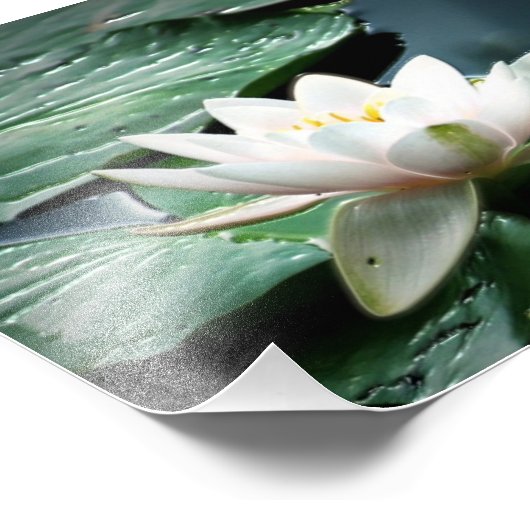 impression photo 7x5 (Coin)